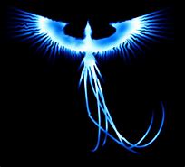 Image result for Ave Fenix Azul