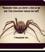 Image result for Funny Spider Quotes