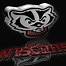 Image result for Wisconsin Logo