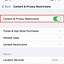 Image result for Turn Off Screen Time iPhone