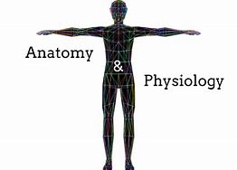 Image result for Anatomy and Physiology Logo
