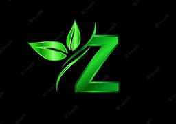 Image result for Green Z Logo