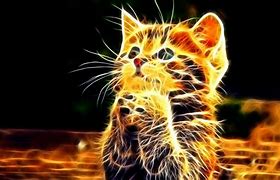 Image result for Cute Neon Cats