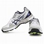 Image result for Asics White Cricket Shoes