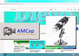 Image result for amacayp