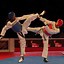 Image result for Taekwondo Action Shots