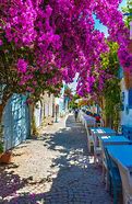 Image result for Greek Islands Holidays