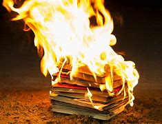 Image result for book burning
