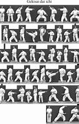 Image result for Goju Ryu Karate Techniques