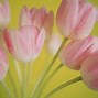 Image result for Pastel Wallpaper for Laptop Tulips
