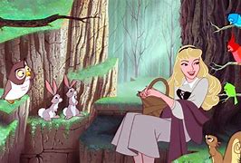 Image result for Princess Aurora Story