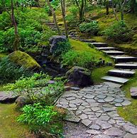 Image result for Small Japanese Garden Plants