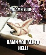 Image result for Starfish Mouth Meme
