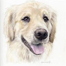Image result for Colored Pencil Dog Portrait