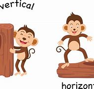 Image result for Orientation Vertical Horizontal