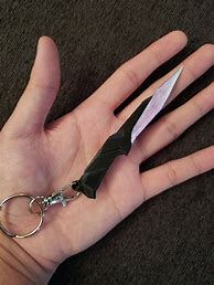 Image result for Octagonal Knife Keychain