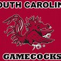 Image result for South Carolina Gamecocks