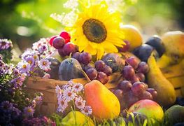 Image result for Autumn Landscapes with Fruits and Flowers