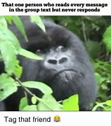 Image result for Group Text Message Meme