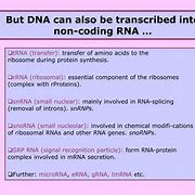 Image result for What Do SRP RNA Do