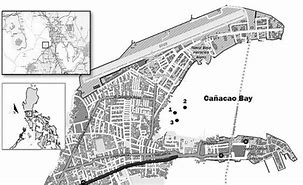 Image result for Canacao Bay Map