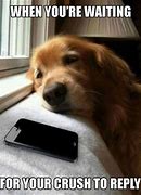Image result for Waiting for a Phone Call Meme