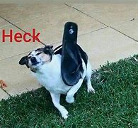 Image result for Heck Dog Meme