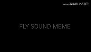 Image result for Flying Meme Soudn