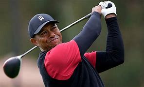 Image result for Tiger Woods Portrait