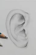 Image result for Ear Pencil Drawing