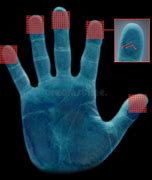 Image result for Red Fingerprint Scan
