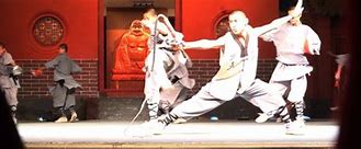 Image result for Shan Shaolin Kung Fu