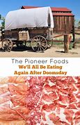 Image result for Pioneer Foods Products