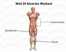 Image result for Wall Sit Muscle Outline