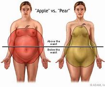 Image result for Pear vs Apple Body