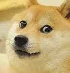 Image result for Galaxy Doge