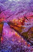 Image result for Japan Top 10 Places to Visit