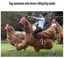 Image result for Chicken Memes Clean