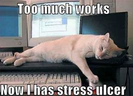 Image result for Stressful Week at Work Meme