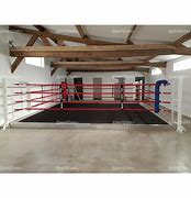 Image result for Home Boxing Ring