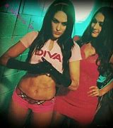 Image result for WWE Nikki Bella V