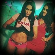 Image result for WWE Nikki Bella Apparel