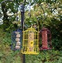 Image result for Rope Hanging Bird Feeders
