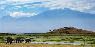 Image result for Amboseli National Park Airport