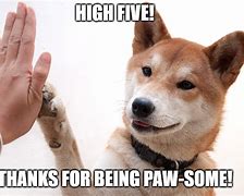 Image result for High Five Dog Meme