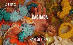 Image result for cachada