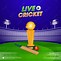 Image result for Background Pics for Cricket Poster