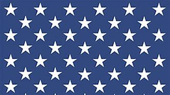Image result for US Flag 50 Stars