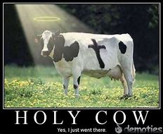 Image result for Holy Cow Pun Meme