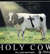 Image result for Funny Holy Cow Meme